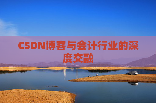 CSDN博客与会计行业的深度交融